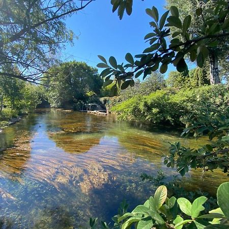 Gite L'Odonate, Partage Des Eaux LʼIsle-sur-la-Sorgue Exteriör bild