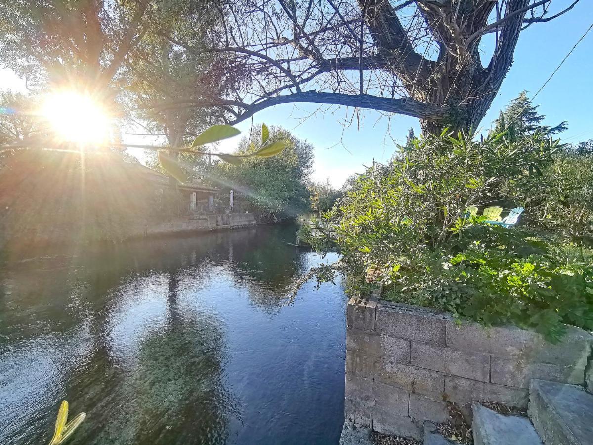 Gite L'Odonate, Partage Des Eaux LʼIsle-sur-la-Sorgue Exteriör bild