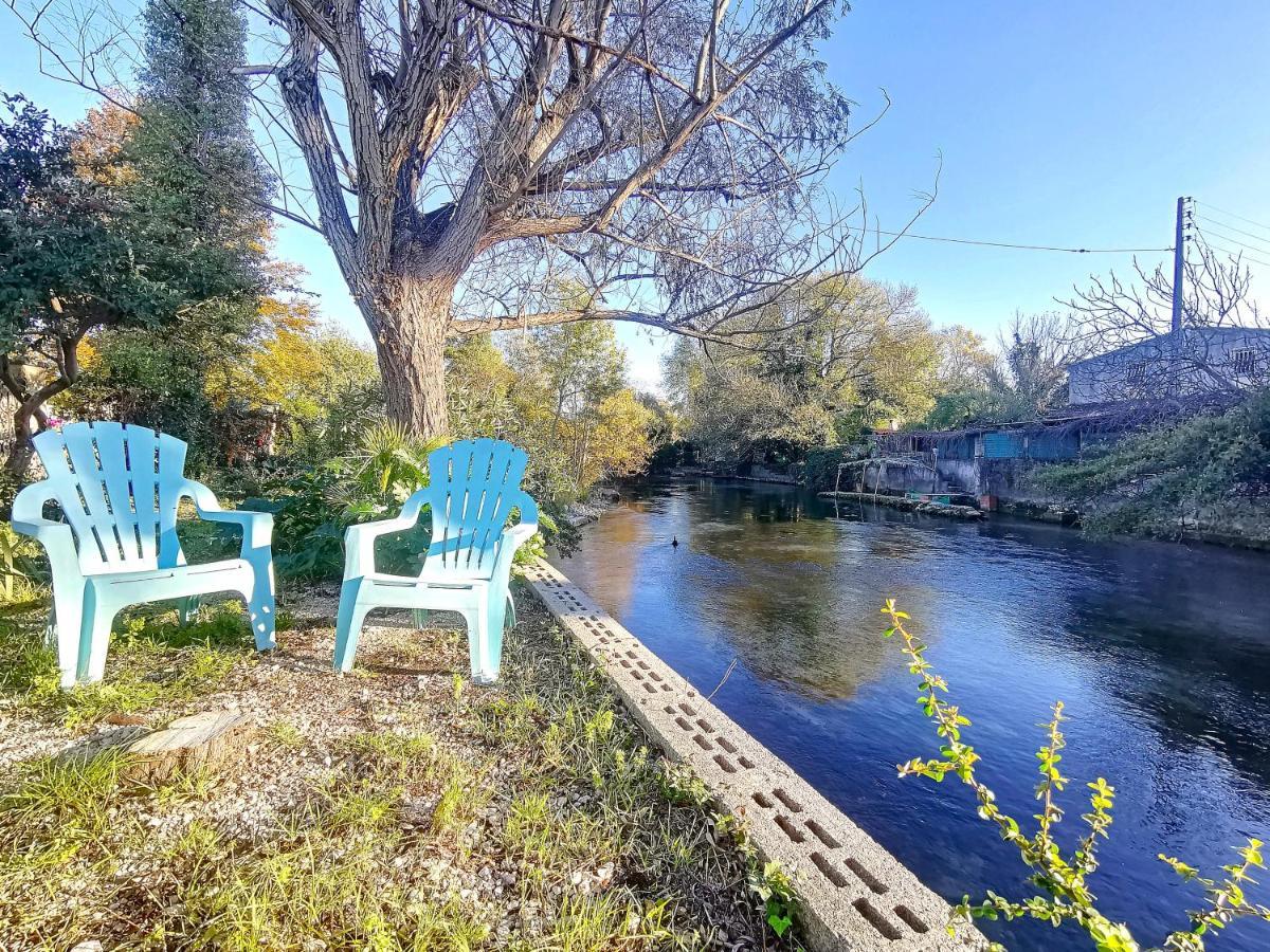 Gite L'Odonate, Partage Des Eaux LʼIsle-sur-la-Sorgue Exteriör bild