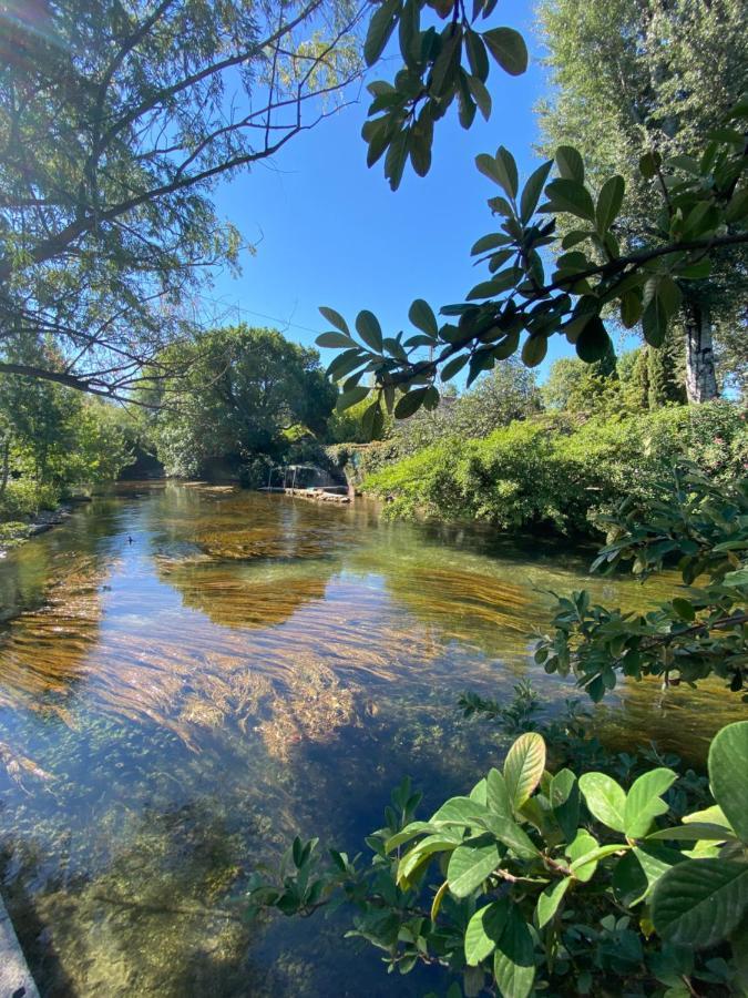 Gite L'Odonate, Partage Des Eaux LʼIsle-sur-la-Sorgue Exteriör bild